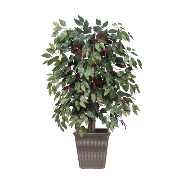 Vickerman 4' Artificial Capensia Bush, Made with real Tag Alder trunks and Comes in a Decorative Square Brown Plastic Basket