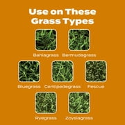 Scotts Turf Builder WinterGuard Fall Weed & Feed5, 11.28 lbs.