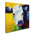 thumbnail image 2 of Trademark Fine Art 'Belle' Canvas Art by Marion Rose, 2 of 3