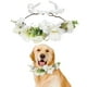 thumbnail image 1 of Corona de flores, diadema Floral, accesorios para el cabello de mascotas, diadema de flores, decoraciones de corona Floral, accesorios para el cabello de boda, 1 of 6
