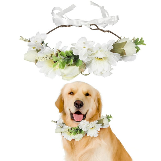 Corona de flores, diadema Floral, accesorios para el cabello de mascotas, diadema de flores, decoraciones de corona Floral, accesorios para el cabello de boda