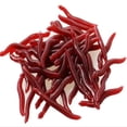 thumbnail image 2 of 100PCS Red Worms Minnow Bait Fishing Lures Artificial Dedicated, 2 of 7