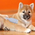 thumbnail image 5 of Pet Hair Roller Extra Sticky Lint Roller For Pet Cat Hair Remover B, 5 of 5