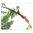 thumbnail image 4 of Cabezal de podador extensible LSLANSOON para cortar ramas con sierra de pértiga, 4 of 7