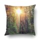 thumbnail image 1 of Funda de almohada ABPHQTO Bosque Soleado de Secoyas 40x40 cm, 1 of 1