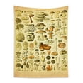 thumbnail image 2 of HVEST Mushroom Tapestry Various Vintage Fungus Printing Tapestry Wall Hanging Illustration Reference Chart Poster Vertical Tapestries for Living Room Bedroom Dorm Office Home Wall Art Decor 40x60 Inch, 2 of 6