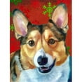 thumbnail image 1 of Carolines Treasures LH9581GF Corgi Drapeau de Noël Rouge Flocons de Neige Taille Jardin, 1 of 3