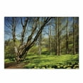 thumbnail image 1 of Nature Cutting Board, Spring Forest Flower Field and Trees Dreamy Eco in Sunny Open Sky Landscape, Decorative Tempered Glass Cutting and Serving Board, Small Size, Yellow Blue Brown, by Ambesonne, 1 of 1