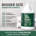thumbnail image 5 of KESMEDIK Tea Tree Conditioner Refill, 128 fl oz (1 Gallon), Hydrating & Detangling, Softens Hair & Helps Reduce Flakes, Refreshes Scalp, Sulfate-Free, Professional Salon, Gym & Hotel Supplies, 5 of 7