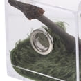 thumbnail image 3 of OULII Transparent Spider Enclosure Box Acrylic Multi Pet Observation Reptile Feeding 1 Set, 3 of 8