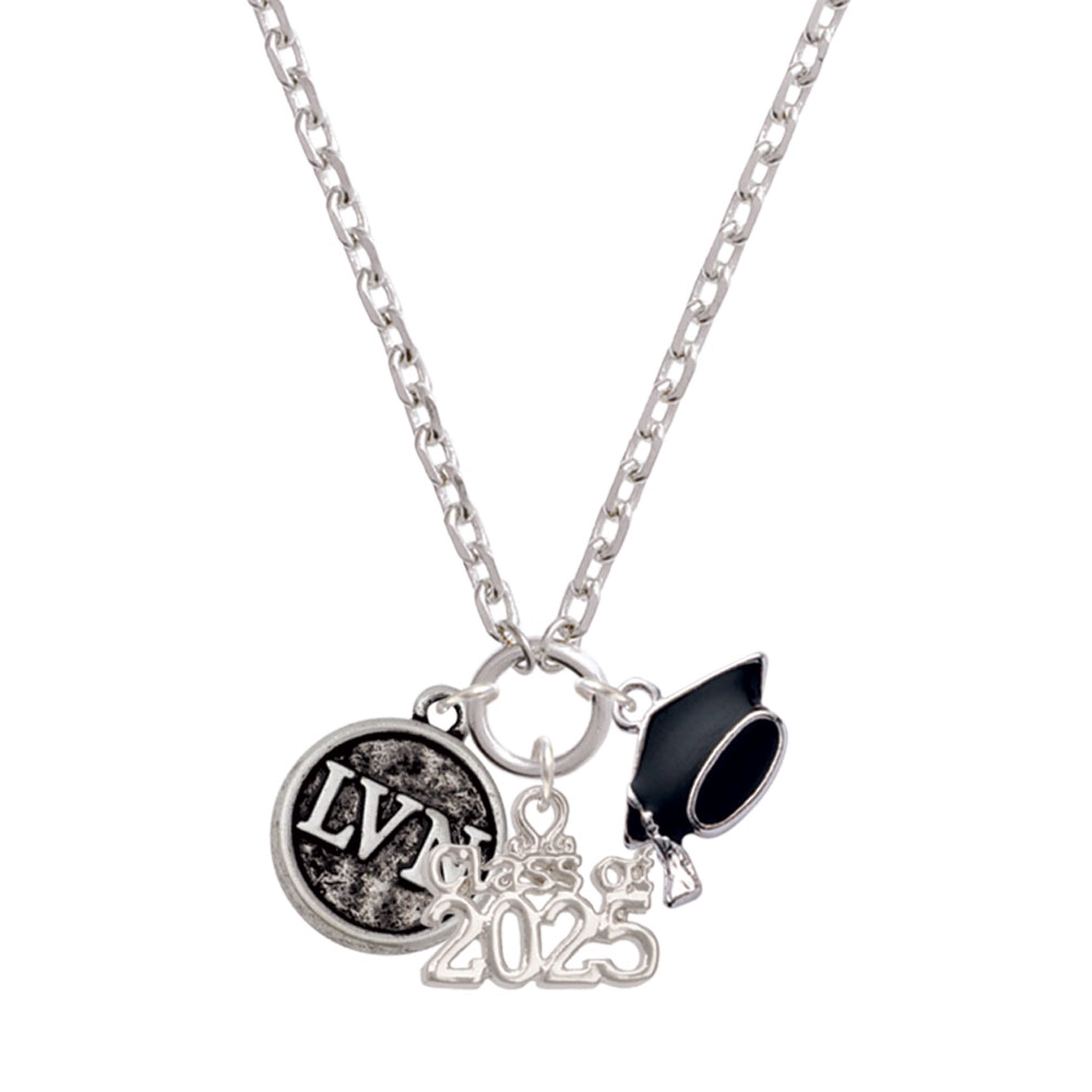 Delight Jewelry Silver-tone Nurse Caduceus Seal - LVN - Silver-tone Class of 2025 Graduation Zoey Necklace, 28"