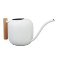 thumbnail image 1 of Lata De Riego Interior De Acero Inoxidable Con Boquilla Larga, De , Maceta De Bonsai Para Plantas De Casa Flores Suculentas, 1.2L, 1 of 7
