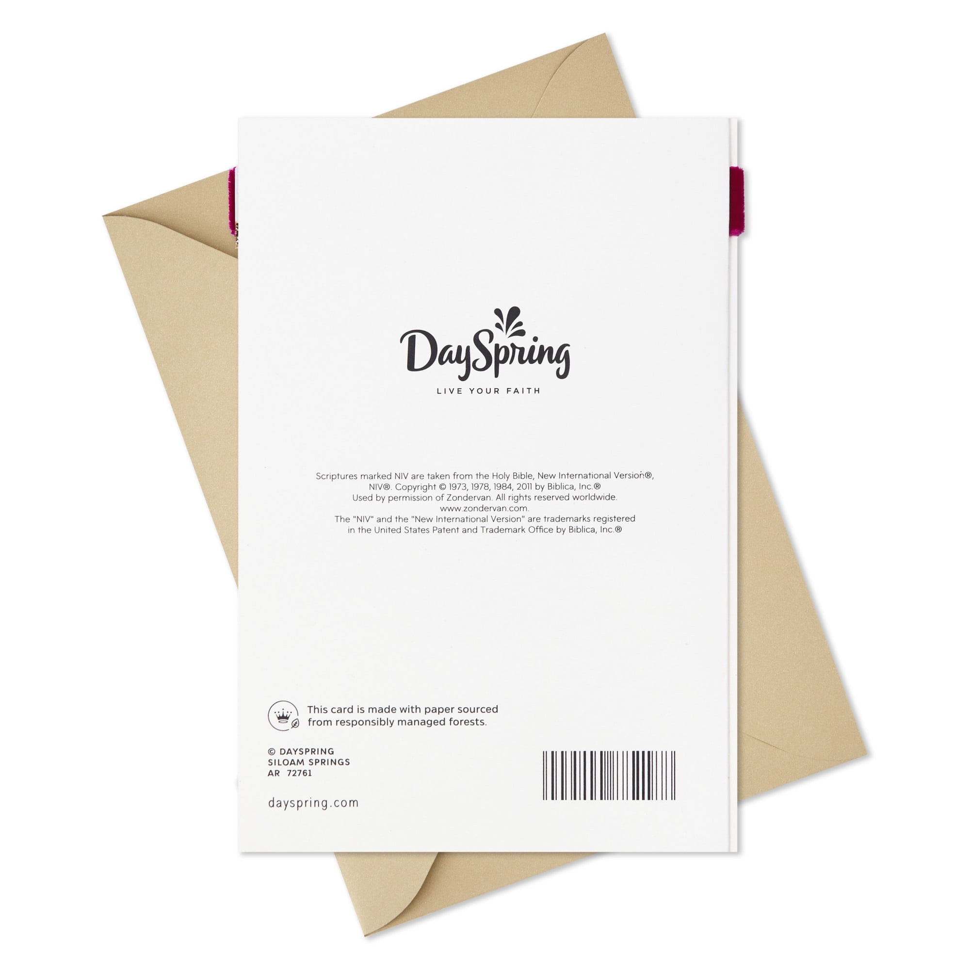 DaySpring Religious Anniversary Card (Love That Grows)