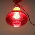 thumbnail image 2 of Lámpara calefactora para pollitos de 250w, Bombilla calefactora para pollitos, Lámpara calefactora para gallinero y cachorro, Lámpara calefactora por infrarrojos, Bombilla infrarroja roja, 2 of 4