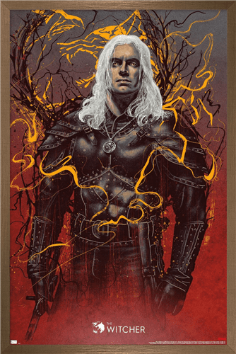 The Witcher TV Series Silk Fabric/Flex Poster '21 x 14 & 36 x 24' Free Shipping 