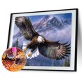 thumbnail image 2 of Kits de pintura de diamante de águila voladora, taladro cuadrado completo, decoración de pared para el hogar, arte artesanal Sywqhk Decoración hogareña, 2 of 9