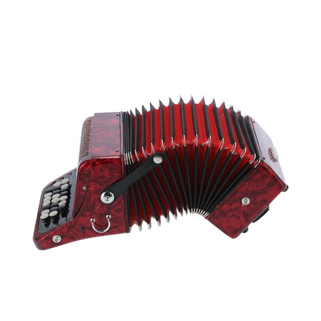 Kids Accordion Toy, 22 Key 8 Bass Accordion Toy Professional Button Reed Instrument with Storage Bag for Beginners to Practice