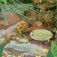 thumbnail image 4 of Hamaca Wesiti para Dragón Barbudo de Algodón para Reptiles, 2 Piezas, 25.5 cm, 4 of 7