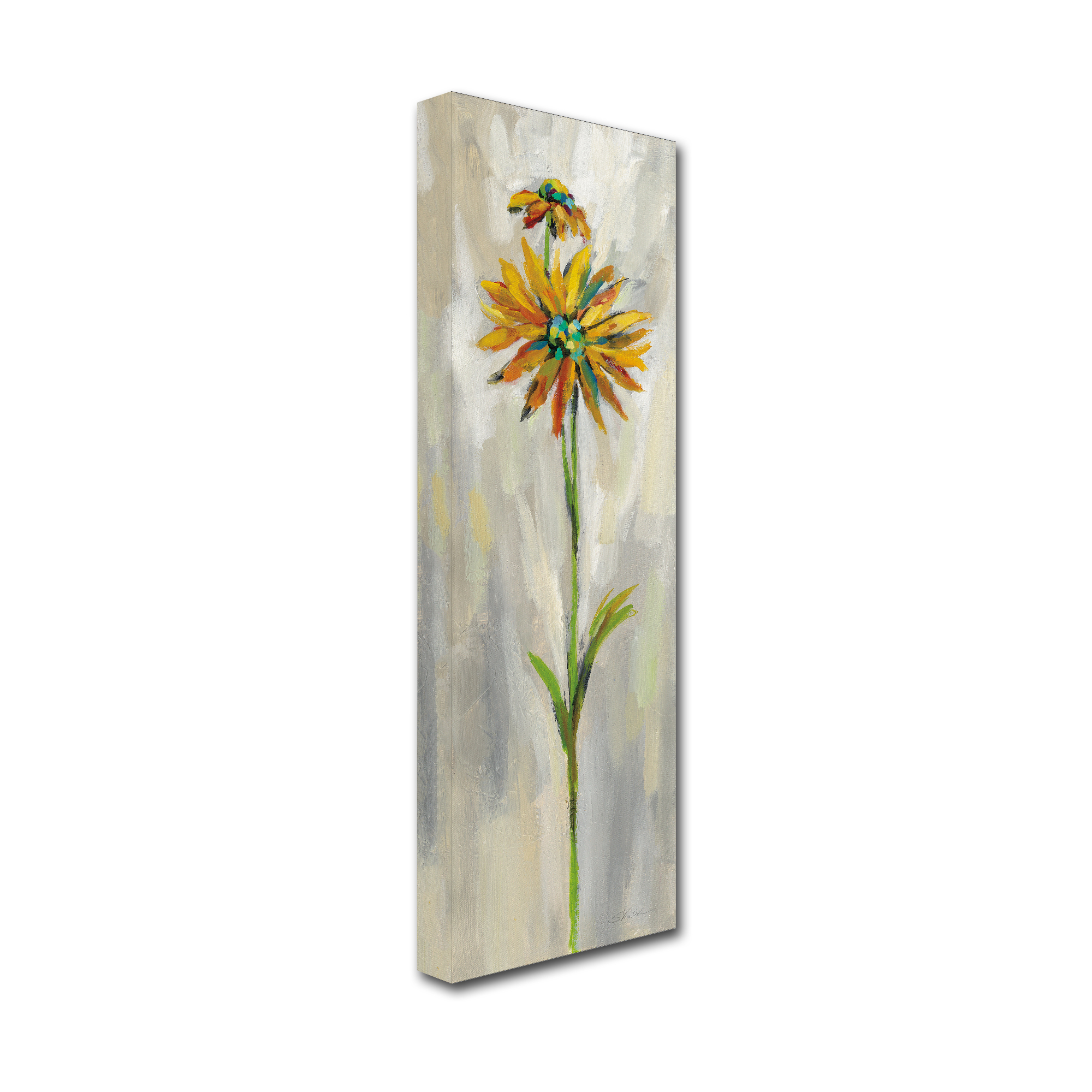 Trademark Fine Art 'Single Stem Flower III' Canvas Art by Silvia Vassileva