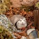 thumbnail image 2 of 2Pcs Decorative Reptile Hideouts Wear-resistant Reptile Shelters Delicate Terrarium Decors, 2 of 4