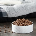 thumbnail image 3 of Pure Balance Grain-Free Poultry Free Lamb & Fava Bean Recipe Dry Dog Food, 4 lb, 3 of 14
