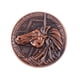 thumbnail image 1 of Moneda conmemorativa de anime Resident Evil, 3,5 cm, hierro, 18 g, 1 of 2