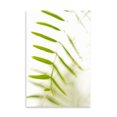 thumbnail image 2 of Gango Home Decor Palm Fonds IV by Karyn Millet (Printed on Paper); One 24x36in Fine Art Paper Giclee Print, 2 of 4