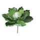 thumbnail image 2 of Rapeiae 15CM Adhesive Powder Flocking Christmas Flower High-end Fabric Christmas Decoration Simulation Flower, 2 of 6
