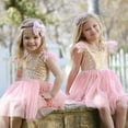 thumbnail image 3 of Butterfly Craze Pink & Gold Sequin Ballerina Princess Dress- 3Y, 3 of 5