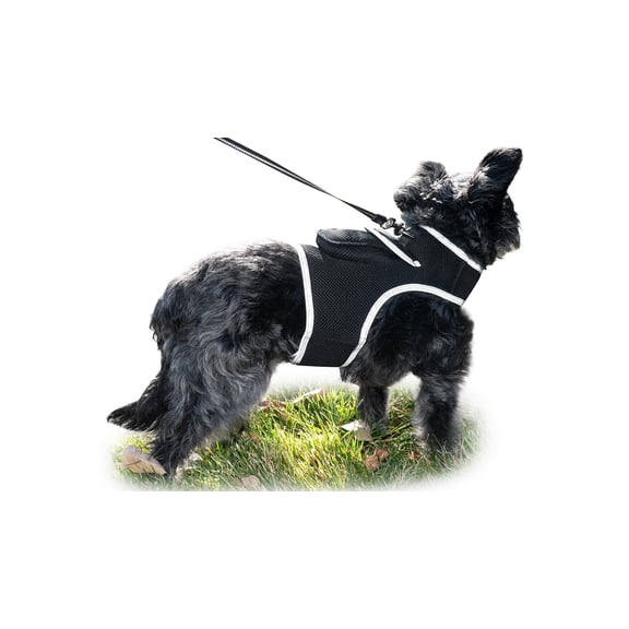 Resilient Collar Rechargeable GPS Dog Tracking Device for Playful Pet Labrador Size:XS