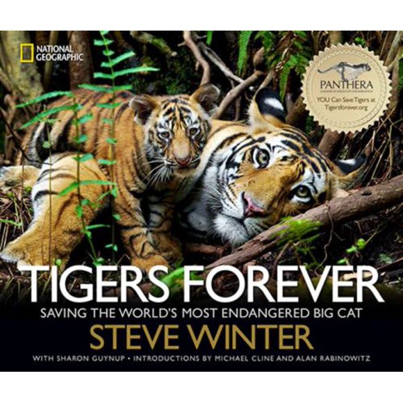 Pre-Owned Tigers Forever: Saving the World's Most Endangered Big Cat (Hardcover) 1426212402 9781426212406