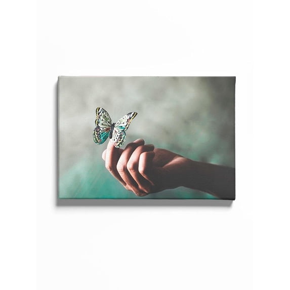 Butterfly On A Finger 20x30 Canvas -Image by Shutterstock,