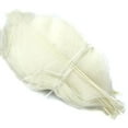 thumbnail image 4 of 50 Uds Flor Seca Magnolia Esqueleto Hoja Tarjeta Decoración Jabón Ornamento álbum de Recortes, 4 of 9