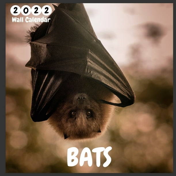 Bats 2022 Wall Calendar Ofifcial Bats Calendar 2022, 12 Months, Bats
