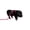 Pink, variant on Piggy Poo and Crew Blue Adjustable Pet Harness and Leash, 12 ft.
