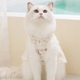 thumbnail image 4 of huayou Cute Breathable Pet Harness Dress, Soft Cozy Striped Lace Trim with D Ring for Dogs Cats Daily Use, 4 of 8
