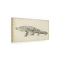 thumbnail image 3 of Trademark Fine Art Ethan Harper Alligator Sketch Canvas Wall Art - 10x19, 3 of 5