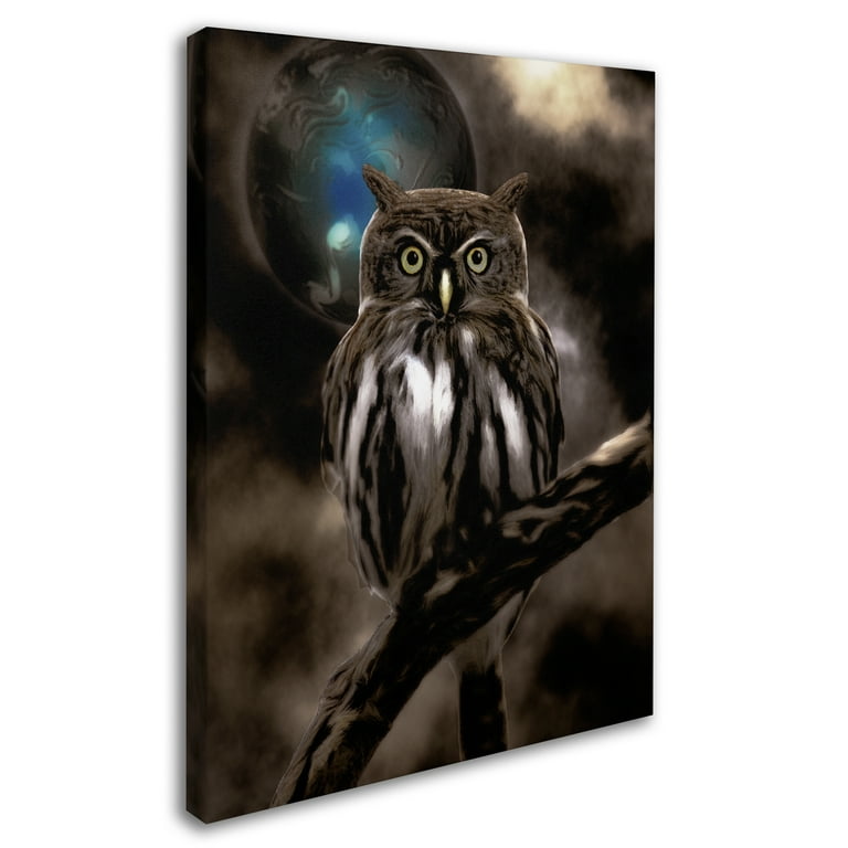 Night owl at walmart sales