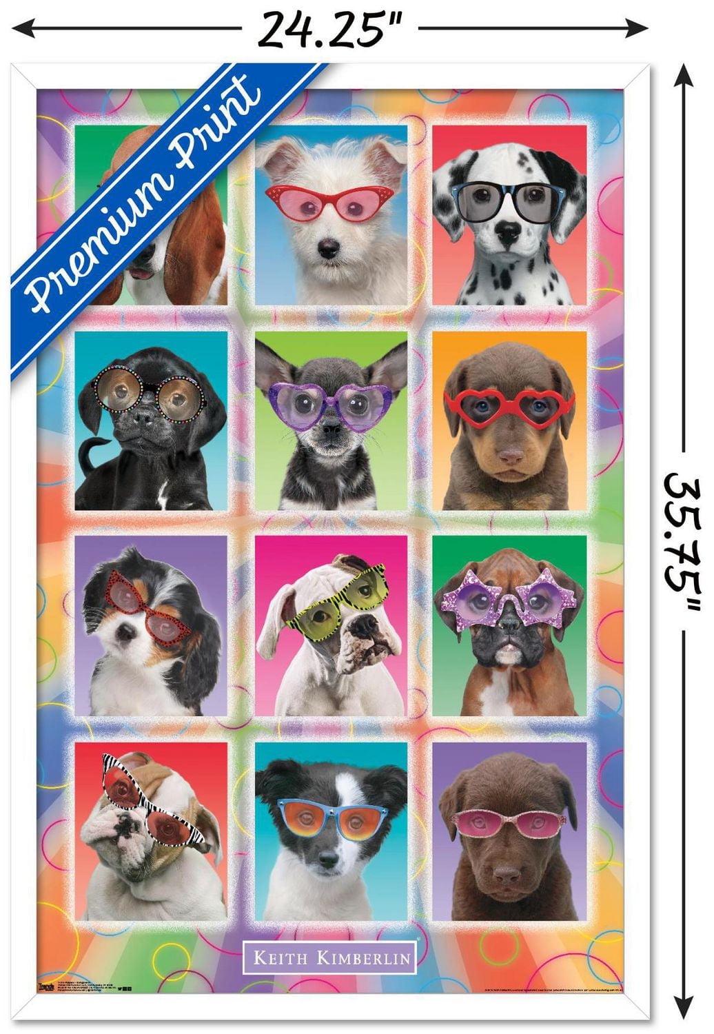 Keith Kimberlin - Puppies - Sunglasses Wall Poster, 22.375" x 34"