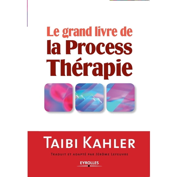 Le grand livre de la process thérapie (Paperback)