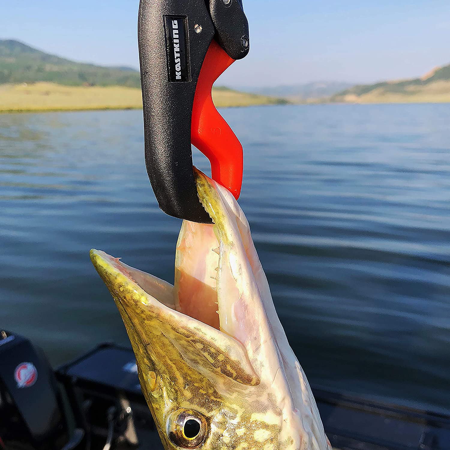 Waterproof Floating Digital Fishing Scale With No-Puncture Lip Gripper.  Dual Mode - Pounds/Ounces & Kilograms. Lightweight Abs Frame, Non-Slip  Handle. 