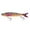 F, variant on Fishing Gear Freshwater and Saltwater Superior Swimbaits for Trout - Lifelike Slow Sinking for Men