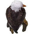 thumbnail image 5 of Ebros Gift American Eald Eagle Perching on Tree Branch Resin Figurine Statue, 5 of 5