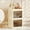 Apricot 2 Layers, variant on Makeup Organizer with 2/3 Layer Dustproof Cabinet, Cream Cosmetic Storage for Vanity