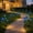 Blue, variant on Usbinx Life Solar Rose Flower Stake Lights Outdoor Garden Decor LED String Lights with 2 Modes Waterproof Yard Lawn Pathway Light Auto On Off 29.1 in 1 Pack