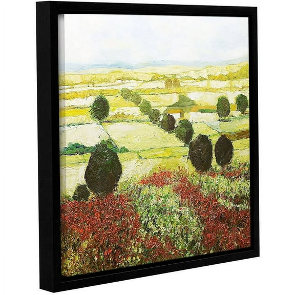 ArtWall Allan Friedlander "Wildflower Valley" Gallery-wrapped Floater-framed Canvas