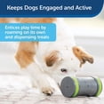 thumbnail image 2 of PetSafe Kibble Chase Juguete interactivo para perros - Comed PetSafe PetSafe, 2 of 2