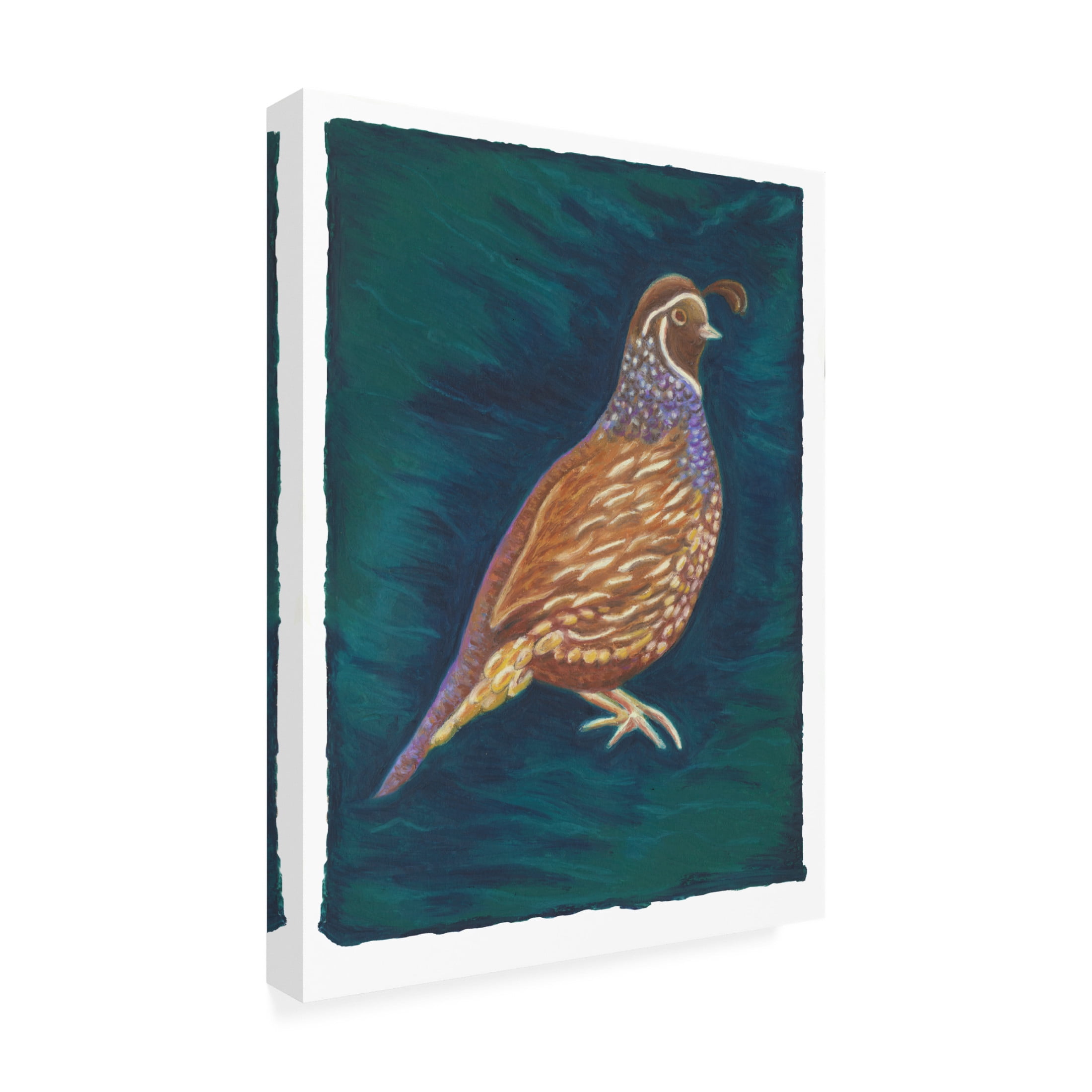 Canvas Wall Art - Andrea Strongwater 'Game Birds Partridge Boy' Wall Art for Living Room, Bedroom, or Office Décor by Trademark Fine Art - 24 x 32 Inches
