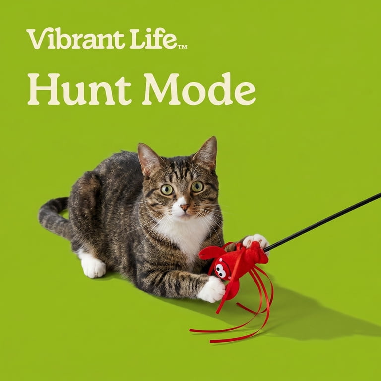 Vibrant Life Wiggle Lobster Wand Teaser Cat Toy with Catnip, 18