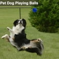 thumbnail image 6 of Kisportee Tennis Balls, 12 Pack Training Tennis Ball Practice Balls, Tennis Balls for Dog, Come with Mesh Bag for Transport, Dog Tennis Ball, Good for Beginner Practice Exercise (Blue), 6 of 10